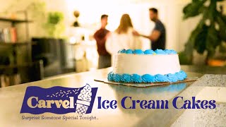 Carvel Ice Cream Cakes [upl. by Agarhs]