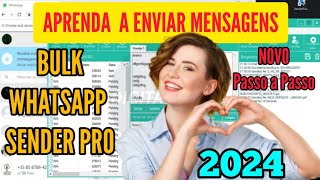 💬 BULK WHATSAPP SENDER NOVO TUTORIAL PASSO A PASSO 2024 Enviando Mensagens Em Massa com Relatório [upl. by Ahcirt498]