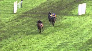 Have you seen anything like it Amazing horse race at Wincanton [upl. by Sy]