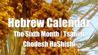 Hebrew Calendar  The Sixth Month  Tsahim  Chodesh HaShishi [upl. by Simaj]