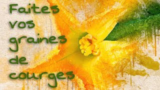 Faites vos propres graines de courges 12 [upl. by Suzette]