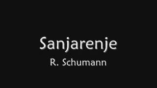 R Schumann Sanjarenje [upl. by Landon]