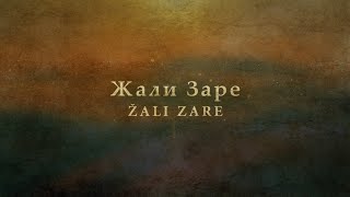 Žali Zare  Serbian Song [upl. by Mcclenon]