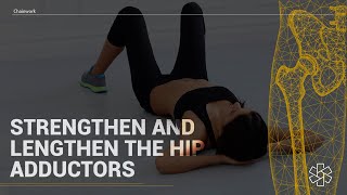 Exercises to STRENGTHEN amp LENGTHEN the Hip Adductors [upl. by Beckett214]