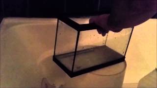 Cleaning a Glass Aquarium of Calcium Deposits the Fish Finatic Way [upl. by Fortier]