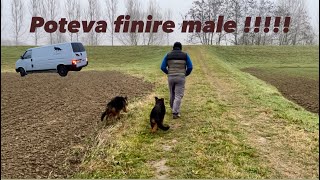 Capodanno🎇prima uscita dei cucciolirimaniamo piantati con il 🚐 germanshepherd pastoretedesco [upl. by Eelidnarb]