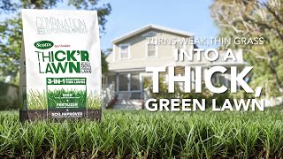 How to Get a Thicker Lawn Using Scotts® Turf Builder® ThickR Lawn® 3In1 Solution [upl. by Leahcim]