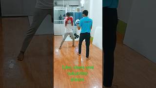 Mix Martial Art Tutorial [upl. by Pugh]