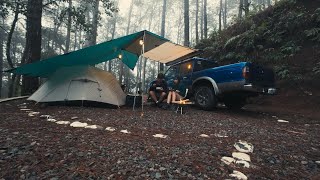 Cozy rain camping in a pine forest  ALAPO adventure camp  Relaxation  Nature sounds  Ford Ranger [upl. by Aiyot]