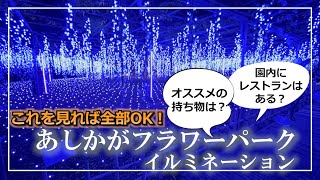 【栃木・足利】あしかがフラワーパーク【イルミネーション、食事、注意点など】 [upl. by Breeze]