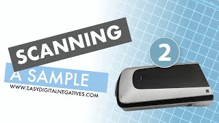 Easy Digital Negatives scanning a grayscale table sample [upl. by Noteloc321]