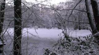 Unheilig Winterland  YouTube Music [upl. by Artekal671]