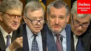 MUST WATCH Supreme Courts Presidential Immunity Decision Debated In Senate Judiciary Committee [upl. by Moritz]