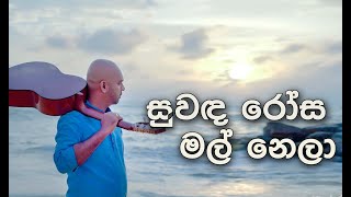 Suwanda Rosa Mal Nela Sunil Santha Ranil Mudunkotuwa Cover Song [upl. by Yeargain36]