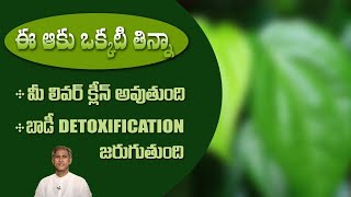 Benefits of Betel Leaves  Improves Digestion  Liver Detoxification  DrManthenas Health Tips [upl. by August569]