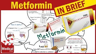 Metformin 500 mg  Glucophage  Uses Dosage Side Effects Contraindications and Some Advice [upl. by Aihset]