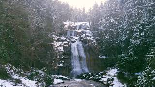 Cascade d’hiver ❄️ 3 heures de nature relaxante  bruit de l’eau flocons de neige et forêt blanche [upl. by Nerty]