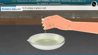 Detection of nitrogen sulphur chlorine bromine and iodine in an organic compound Class 11 Chemistry [upl. by Niggem731]