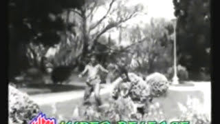 mujhe kitna pyar hai tumseDil Tera Deewana1962Shammi Kapooramp Mala SinhaShailendraS Ja tribute [upl. by Alastair]