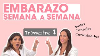 🤰🏻Dudas consejos y curiosidades del EMBARAZO🤰🏻 ¡primer trimestre  Mifarma Farmacia [upl. by Artek]