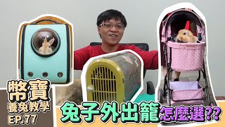 兔子的外出籠怎麼選 手提好還是推車好｜幣寶養兔教學系列 EP 77｜ChamKnows【冠軍知道】兔兔 外出籠 推車 [upl. by Htbazile]