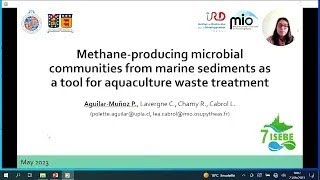 AGUILAR Polette Methane producing microbial communities from marine sediments as a tool for [upl. by Elleirad]