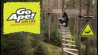 Go Ape Tree Top Adventure  Delamere Forest [upl. by Carbrey593]