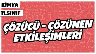 11 Sınıf Kimya  Çözücü  Çözünen Etkileşimleri  2022 [upl. by Rajewski633]