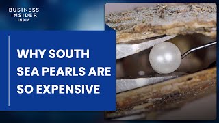 Why South Sea Pearls Are So Expensive  So Expensive [upl. by Karlis668]