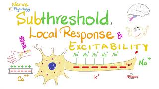 Subthreshold Stimulus Local Response Catelectrotonus Anelectrotonus  Nerve Physiology [upl. by Aihsenyt]