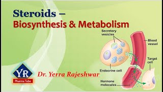 Steroids  Biosynthesis amp Metabolism  Biosynthesis and Metabolism of Steroids  YR Pharma Tube [upl. by Bealle]