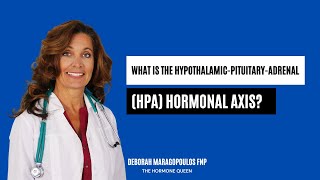 What is the HypothalamicPituitaryAdrenal HPA Hormonal Axis [upl. by Nedarb]