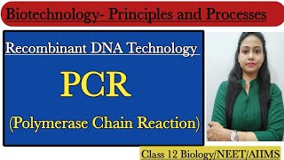 PCR  Polymerase Chain Reaction  Biotechnology  Principles and Processes  Class 12 BiologyNEET [upl. by Frodi]