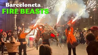 Correfoc de Bèsties at Festa Major de Barceloneta 2024  Fire Beasts [upl. by Annahsirhc]