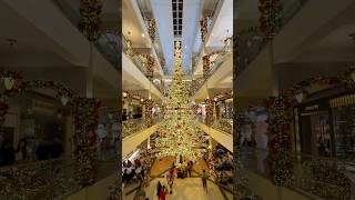 Christmas tree of Powerplant Mall Rockwell Center Makati Philippines 🇵🇭 🎄 christmas [upl. by Lennod878]