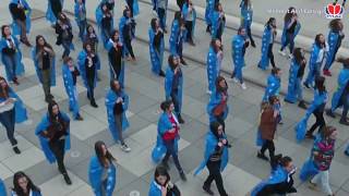 9 Vjetori i Pavarësisë së Kosovës Mehmet Akif College  Flash Mob [upl. by Divadnoj]