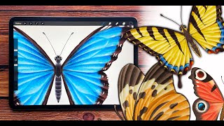 Illustrate Butterflies And 3 Ways To Animate In Procreate [upl. by Llenrad940]