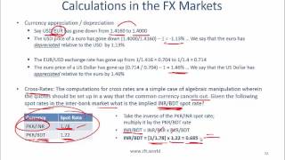 2017 Level I CFA Economics Currency Exchange Rates Summary [upl. by Ym]