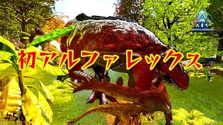 【ARK Survival Ascended】初アルファレックスに遭遇するところまでは良かった 【アイランド】56 [upl. by Jermaine631]