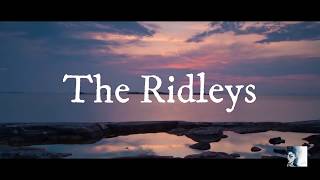 Aphrodite by The Ridleys Lyrics [upl. by Phemia995]