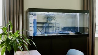 New Fish Tank Setup  Step by Step  Juwel Rio 450 LED [upl. by Ayar]