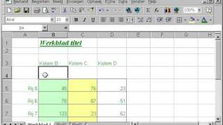 EXCEL Les 14 kolommen en rijen aanpassen [upl. by Zetnauq897]