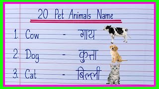 20 Pet Animals Name Hindi and English  Pet Animals Name  Domestic Animals Name [upl. by Ynner]