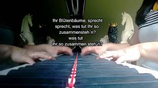 Geheimnis E flat Brahms Piano Accompaniment [upl. by Tinaret]