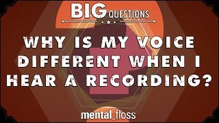 Why is my voice different when I hear a recording  Big Questions  Ep 207 [upl. by Ydok478]