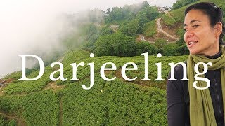 DARJEELING TRAVEL GUIDE  14 Things to Do in Darjeeling [upl. by Ymarej]