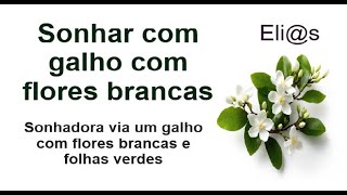 SONHAR COM GALHO COM FLORES BRANCAS E FOLHAS VERDES interpretação [upl. by Nosa331]