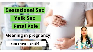 What Is Gestational Sac Yolk sac And Fetal pole In Pregnancy  First Pregnancy Ultrasound Knowledge [upl. by Studnia]