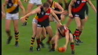 1994 AFL Round 11  Essendon vs Richmond [upl. by Celina]