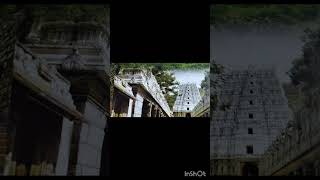 kattedura vaikuntam  Tirumala konda song shortsvideo trending [upl. by Letnahc]